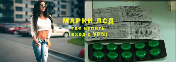 шишки Белоозёрский