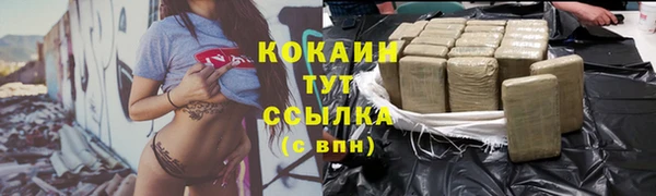 шишки Белоозёрский