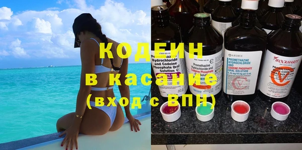 шишки Белоозёрский