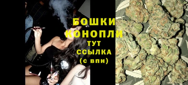 шишки Белоозёрский