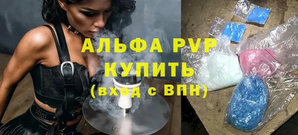 шишки Белоозёрский