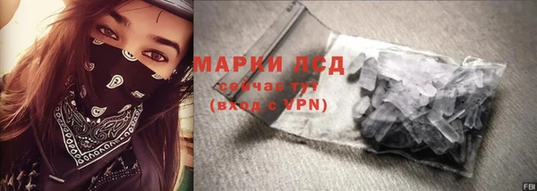шишки Белоозёрский